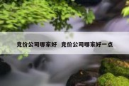 竞价公司哪家好  竞价公司哪家好一点