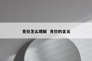竞价怎么理解  竞价的含义