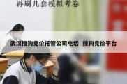 武汉搜狗竞价托管公司电话  搜狗竞价平台