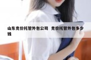 山东竞价托管外包公司  竞价托管外包多少钱