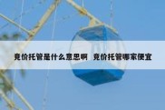 竞价托管是什么意思啊  竞价托管哪家便宜