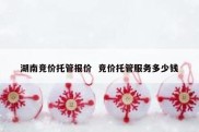 湖南竞价托管报价  竞价托管服务多少钱