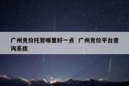 广州竞价托管哪里好一点  广州竞价平台查询系统