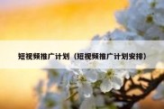 短视频推广计划（短视频推广计划安排）