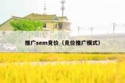 推广sem竞价（竞价推广模式）