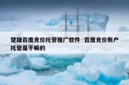 楚雄百度竞价托管推广软件  百度竞价账户托管是干嘛的