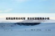 龙岗选择竞价托管  竞价托管服务多少钱