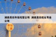 湖南竞价外包托管公司  湖南竞价优化专业公司