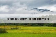 竞价托管公司推广  竞价托管推广竞价