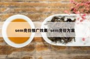 sem竞价推广效果  sem竞价方案