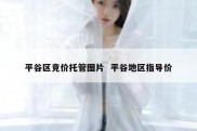 平谷区竞价托管图片  平谷地区指导价