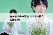 独立站tiktok引流（tiktok独立站转化率）