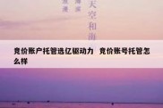 竞价账户托管选亿驱动力  竞价账号托管怎么样