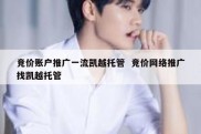 竞价账户推广一流凯越托管  竞价网络推广找凯越托管
