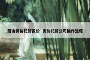 眉山竞价托管报价  竞价托管公司操作流程