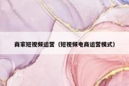 商家短视频运营（短视频电商运营模式）