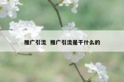 推广引流  推广引流是干什么的