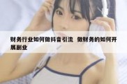 财务行业如何做抖音引流  做财务的如何开展副业