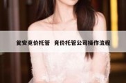 瓮安竞价托管  竞价托管公司操作流程