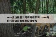 sem竞价托管公司有哪些公司  sem竞价托管公司有哪些公司参与