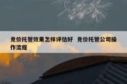 竞价托管效果怎样评估好  竞价托管公司操作流程