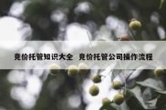 竞价托管知识大全  竞价托管公司操作流程