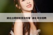 湖北口碑好的竞价托管  湖北竞价招聘