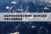 湖北神马竞价托管公司招聘  湖北神马竞价托管公司招聘信息