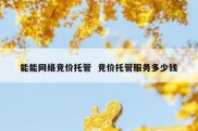 能能网络竞价托管  竞价托管服务多少钱