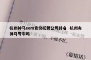 杭州神马sem竞价托管公司排名  杭州有神马专车吗
