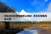 河北竞价托管找哪家公司好  竞价托管服务多少钱