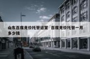 山东百度竞价托管运营  百度竞价托管一月多少钱