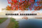 竞价托管的服务  竞价托管服务哪家好