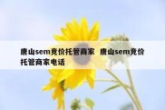 唐山sem竞价托管商家  唐山sem竞价托管商家电话