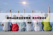 潮州sem竞价托管费用  竞价托管话术
