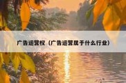 广告运营权（广告运营属于什么行业）