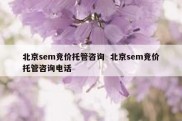 北京sem竞价托管咨询  北京sem竞价托管咨询电话
