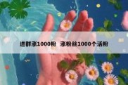 进群涨1000粉  涨粉丝1000个活粉