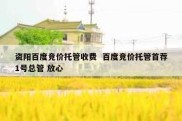 资阳百度竞价托管收费  百度竞价托管首荐1号总管 放心