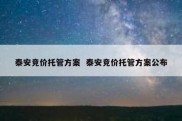 泰安竞价托管方案  泰安竞价托管方案公布