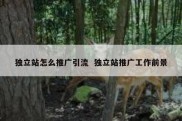 独立站怎么推广引流  独立站推广工作前景