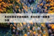 竞价托管名字游戏图片  竞价托管一般要多少钱