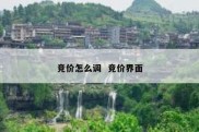 竞价怎么调  竞价界面