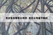 竞价包年哪家公司好  竞价公司是干嘛的