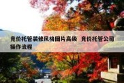竞价托管装修风格图片高级  竞价托管公司操作流程