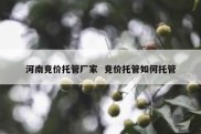河南竞价托管厂家  竞价托管如何托管