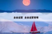 企业运营  企业运营管理