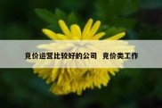 竞价运营比较好的公司  竞价类工作