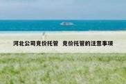 河北公司竞价托管  竞价托管的注意事项