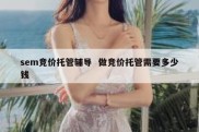 sem竞价托管辅导  做竞价托管需要多少钱